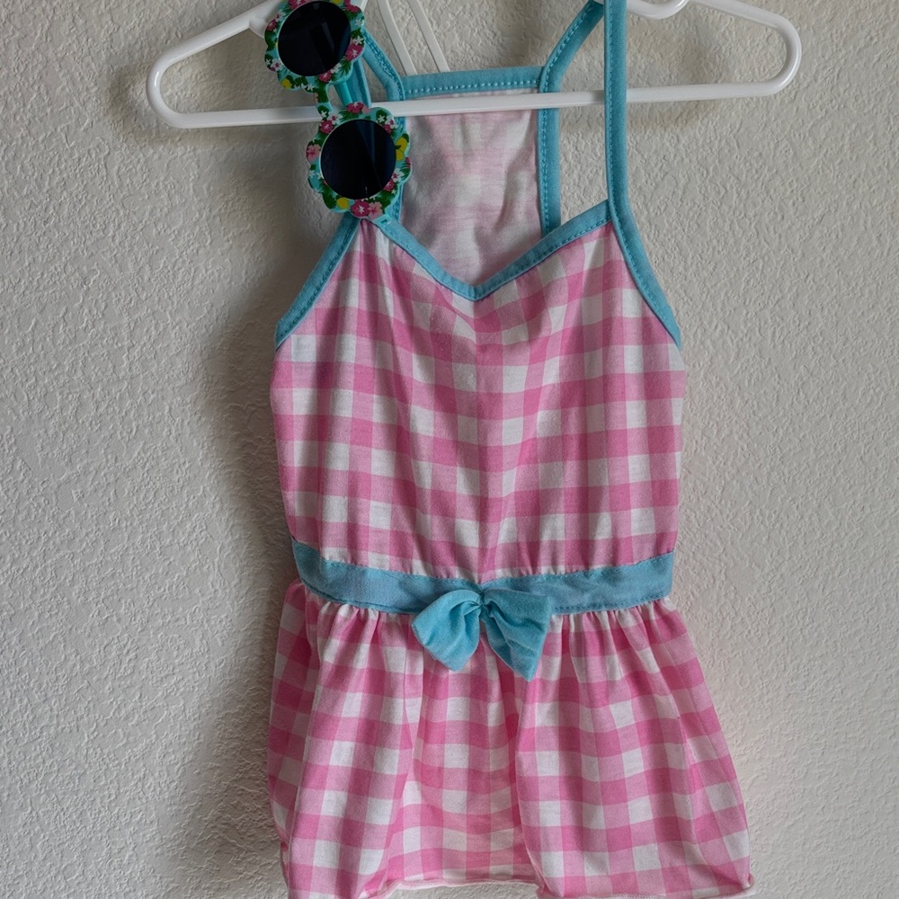 Dog- Small Pink and White Checkered Dress with Blue Trim with sunglasses